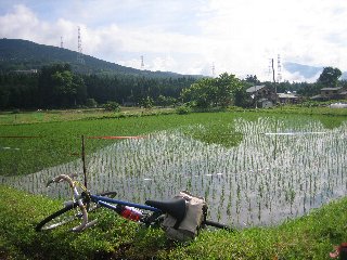 田植え