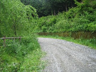 地道