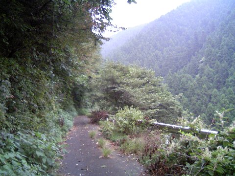 栃谷坂沢林道1
