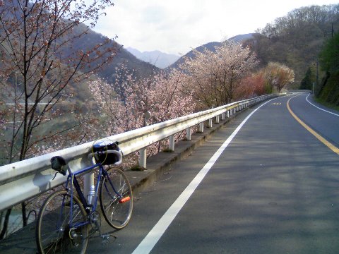 丹沢湖畔