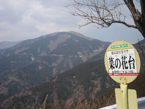 yabitu2