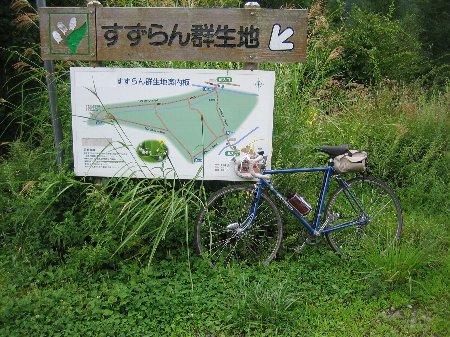 すずらん群生地
