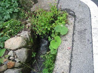 用水路