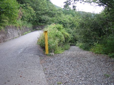 母の白滝