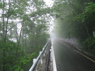水が森林道