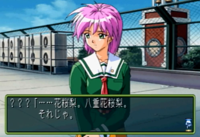 八重