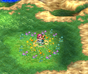 DQ41