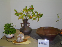 DSC02690
