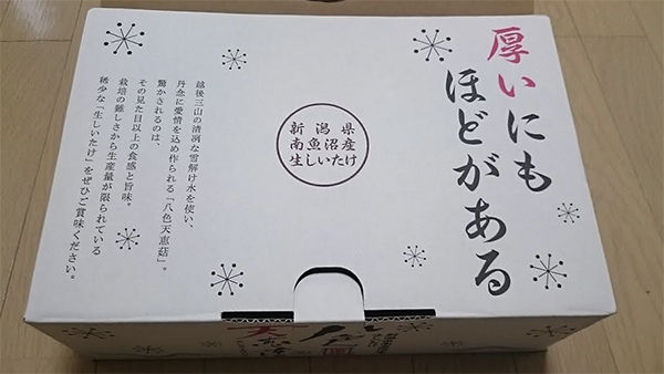 tenkei00
