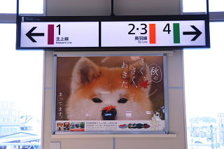 conv0002