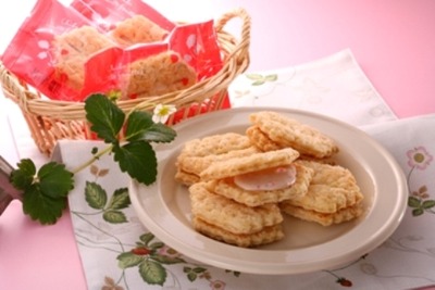 chibamillefeuille_chiba_p_1