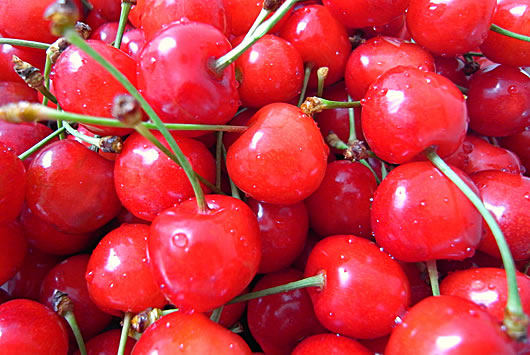 photo_01_01