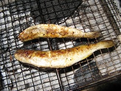 キャンプ19