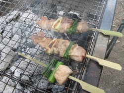 キャンプ11