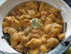 道北11
