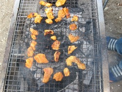 キャンプ12