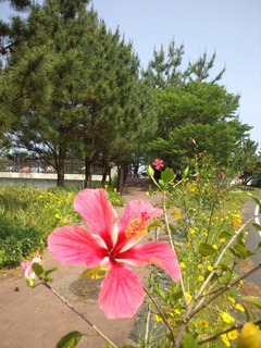 永田