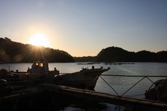 IMG_0791