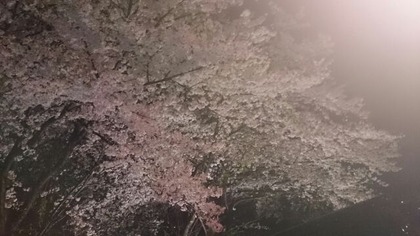 1428207000028