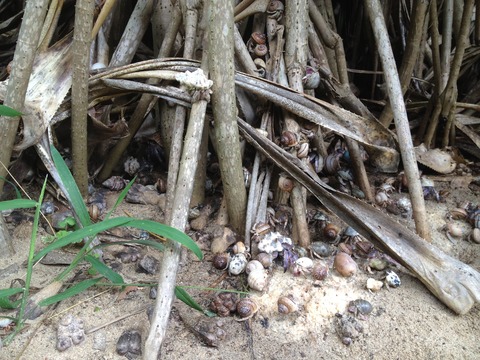 photo (5)