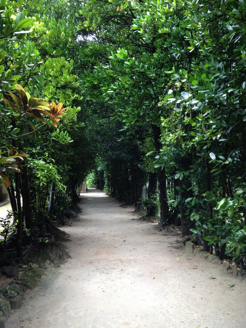 photo (14)