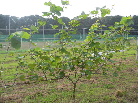 P1030288