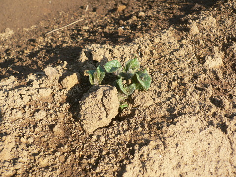 P1030158