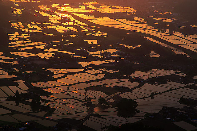 伐株山の夕景