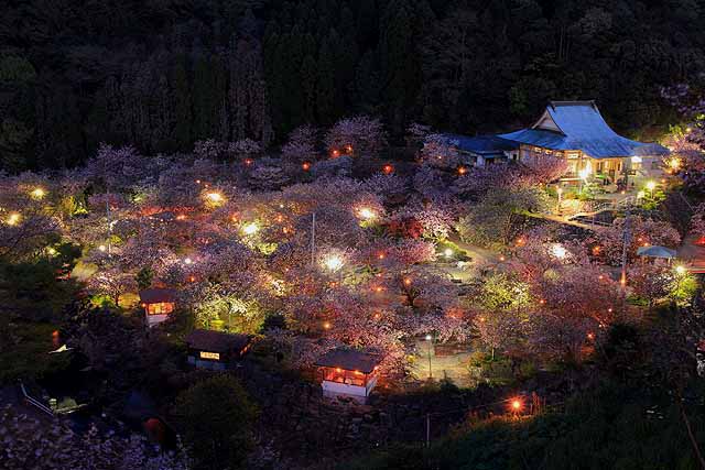 一心寺ライトアップ