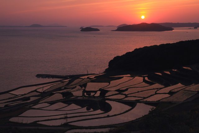 棚田