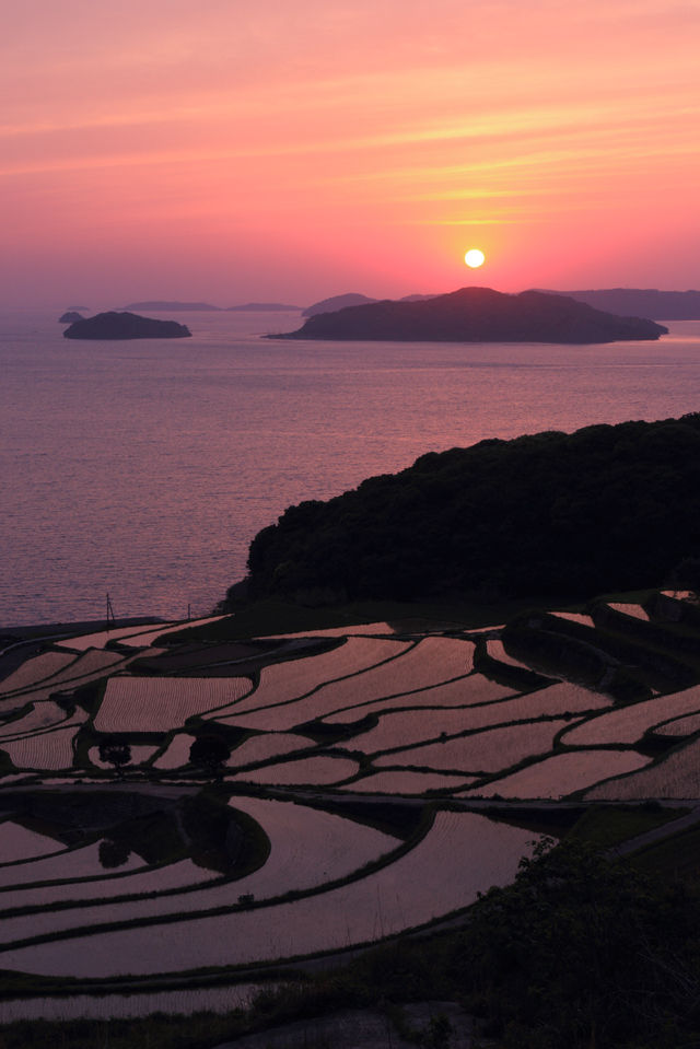 棚田