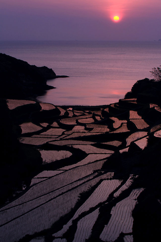 浜野浦の棚田