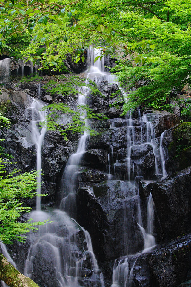 白糸の滝