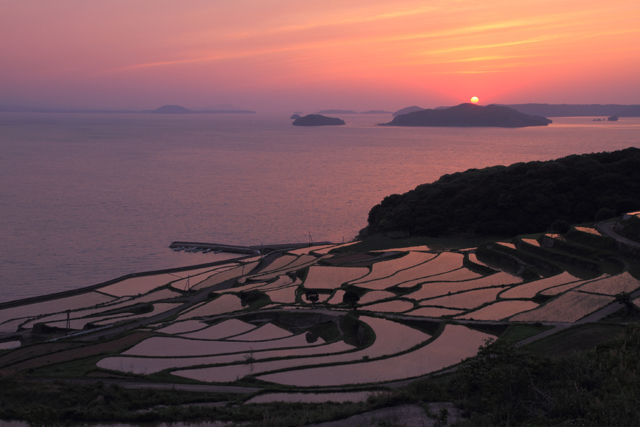 棚田