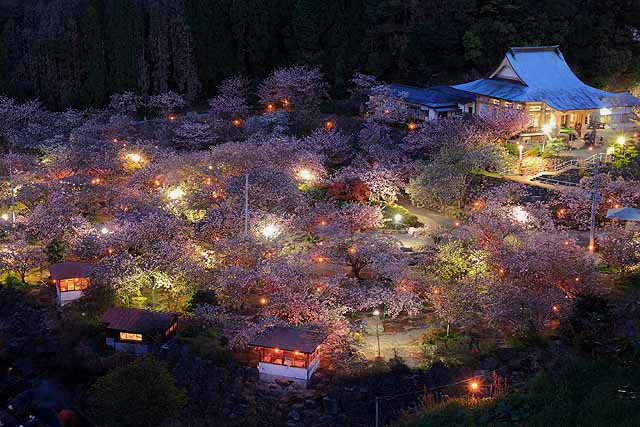 一心寺ライトアップ