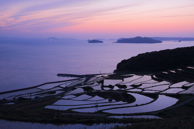 棚田