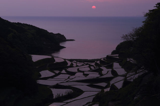 棚田