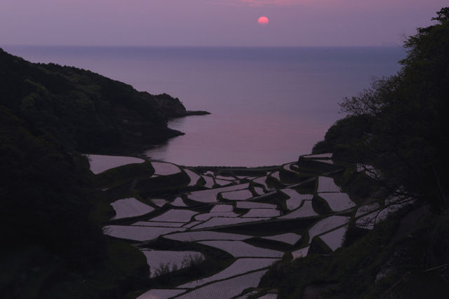 棚田
