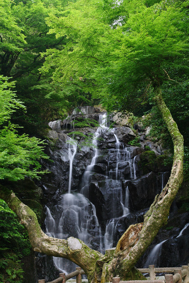 白糸の滝