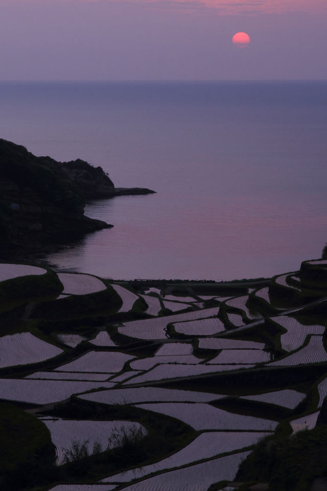 棚田