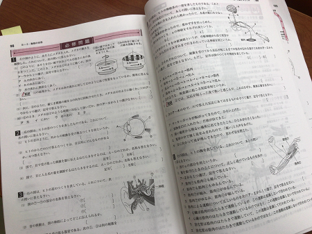 DA4145E1-4159-4E88-AC5D-CF5FC8394E6B