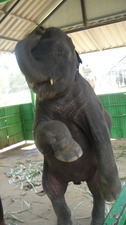 DSC08635