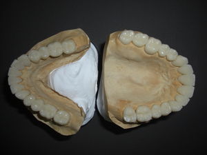 CIMG6016