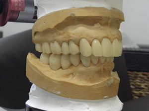 CIMG6023