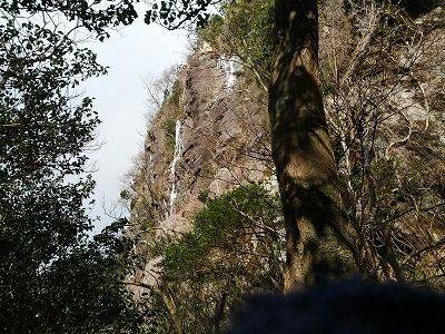 IMG_20121224_135208
