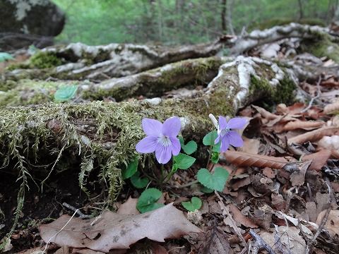 DSC00509