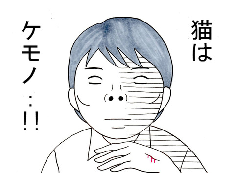 BlogPaint