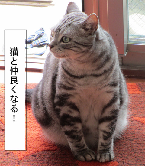 BlogPaint
