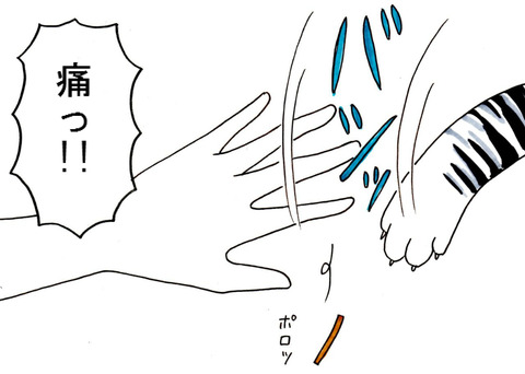 BlogPaint
