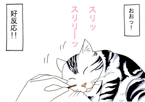 BlogPaint